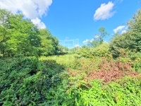 Söjtör Családi ház