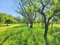 Zalaegerszeg Családi ház