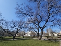 Budapest VIII. kerület Lakás (téglaépítésű)