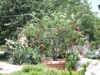 Tököl Családi ház