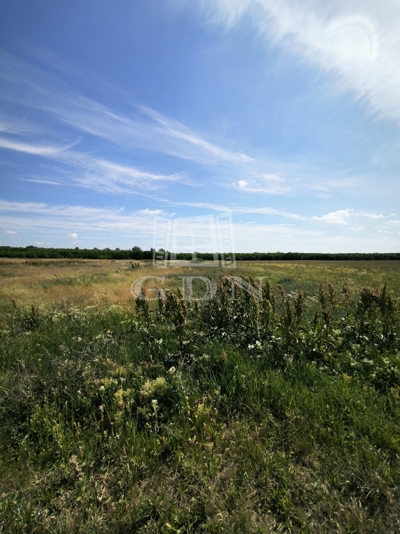 For sale Budapest XIV. kerület Agricultural area