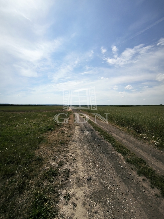 Verkauf Budapest XVI. kerület Landwirtschaftliche Flächen