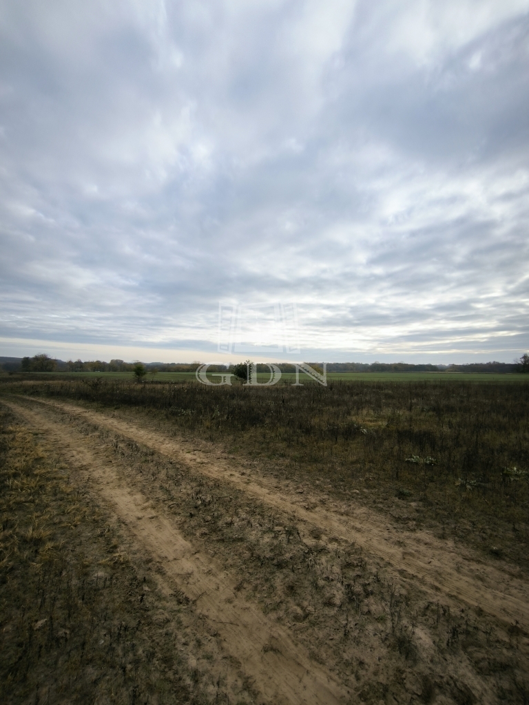 For sale Csomád Agricultural area