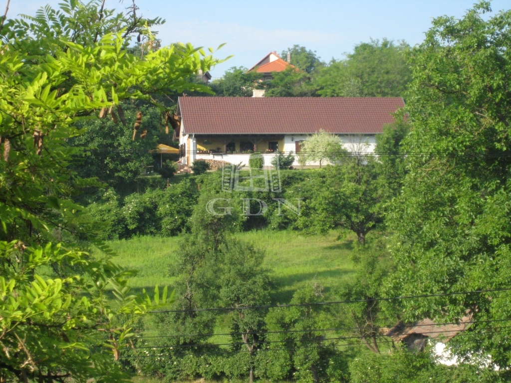 Eladó Gomba Mezőgazdasági terület