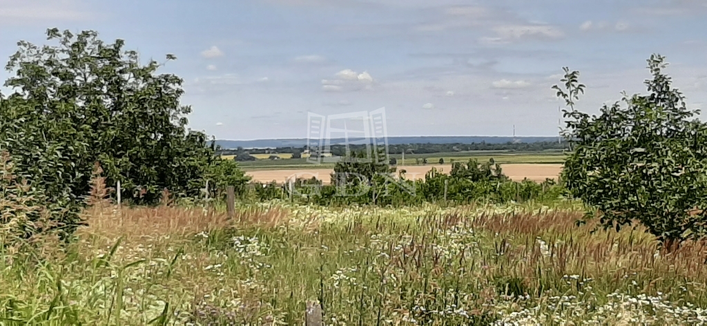 For sale Siófok Agricultural area