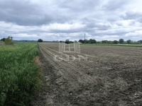 Pócsmegyer Mezőgazdasági terület