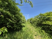 Budapest III. kerület Telek