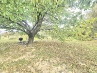 Kispáli Családi ház